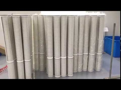 Polyester material High flow filter with SS304 cage